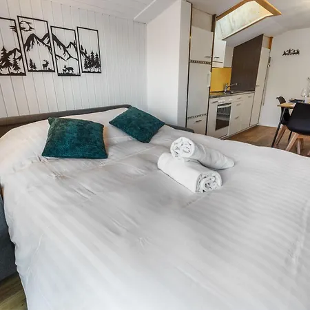 Magnifique A Loeche-les-bains Apartament *